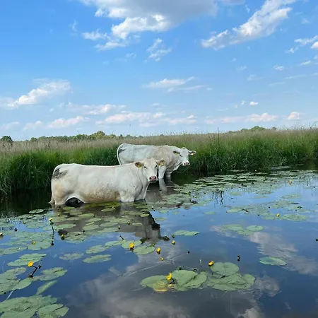 Allerstall Apartmán
