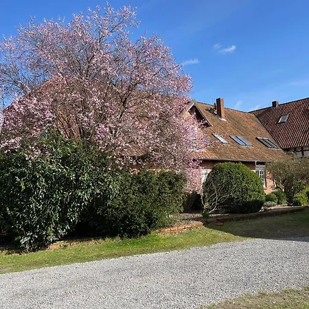 Allerstall Marklendorf